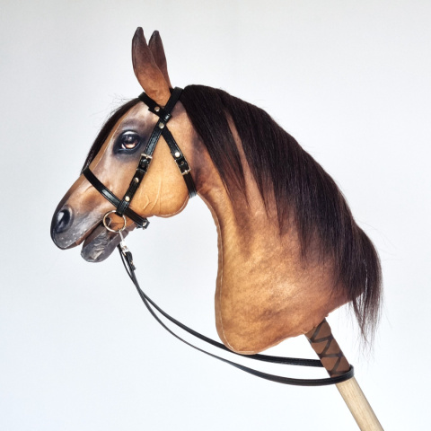 Palomino / Izabelowaty Palomino / Izabelowaty