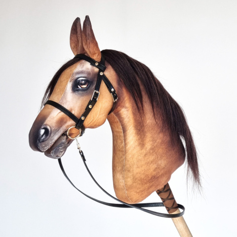 Palomino / Izabelowaty Palomino / Izabelowaty