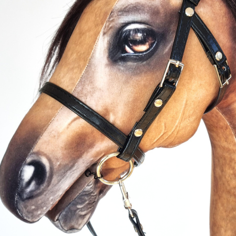 Palomino / Izabelowaty Palomino / Izabelowaty