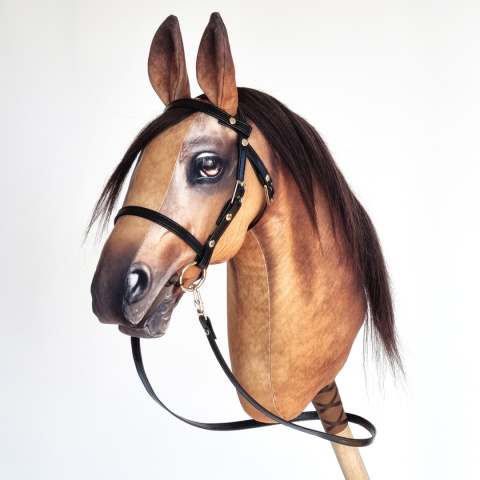 Palomino / Izabelowaty Palomino / Izabelowaty