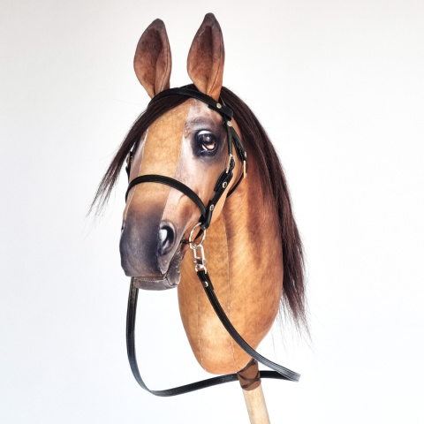 Palomino / Izabelowaty Palomino / Izabelowaty