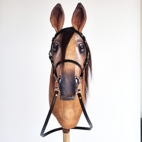 Palomino / Izabelowaty Palomino / Izabelowaty