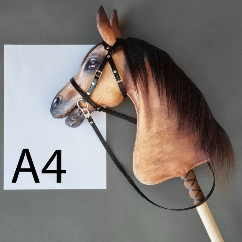 Palomino / Izabelowaty Palomino / Izabelowaty