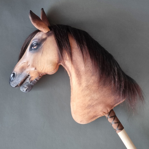 Palomino / Izabelowaty Palomino / Izabelowaty