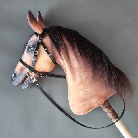 Palomino / Izabelowaty Palomino / Izabelowaty