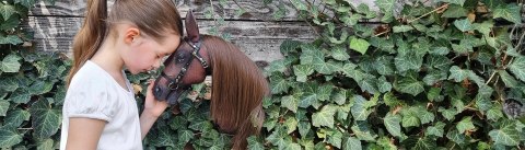 Realistyczny hobby horse, konik na patyku, czarny z białą plamką A4 Realistyczny hobby horse, konik na patyku, czarny z białą plamką A4