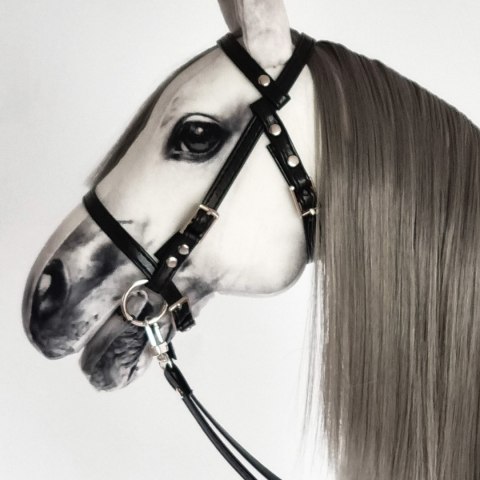 Realistyczny hobby horse, konik na patyku, jabłkowity A4