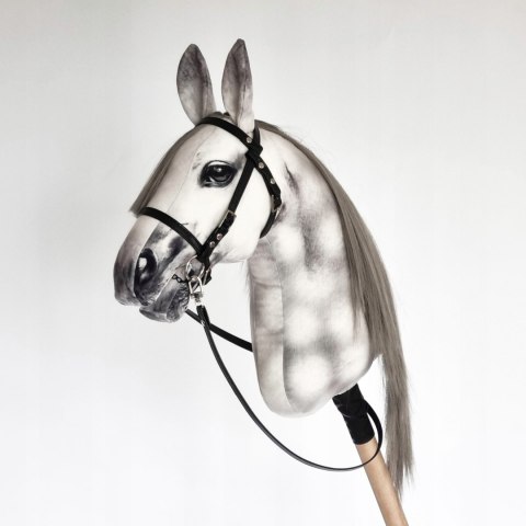 Realistyczny hobby horse, konik na patyku, jabłkowity A4