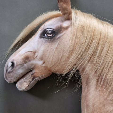 Realistyczny hobby horse, konik na patyku, koń palomino / izabelowaty A4
